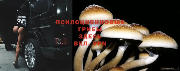 метадон Ладушкин