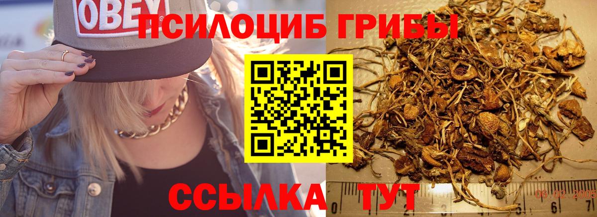 COCAIN Егорьевск