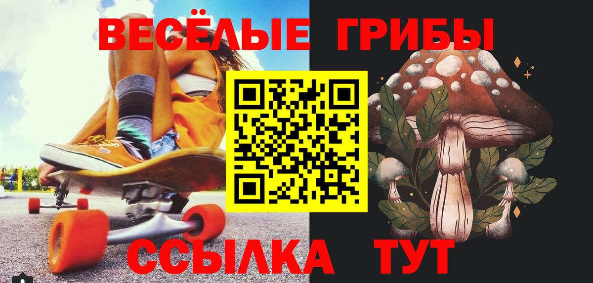 Егорьевск  Галлюциногенные грибы Cubensis  Вход с VPN  Псилоцибиновые грибы прущие грибы 
