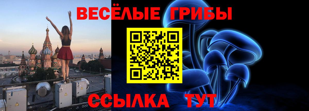 Псилоцибиновые грибы MAGIC MUSHROOMS Егорьевск